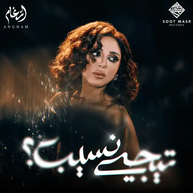 صورة ألبوم تيجي نسيب انغام